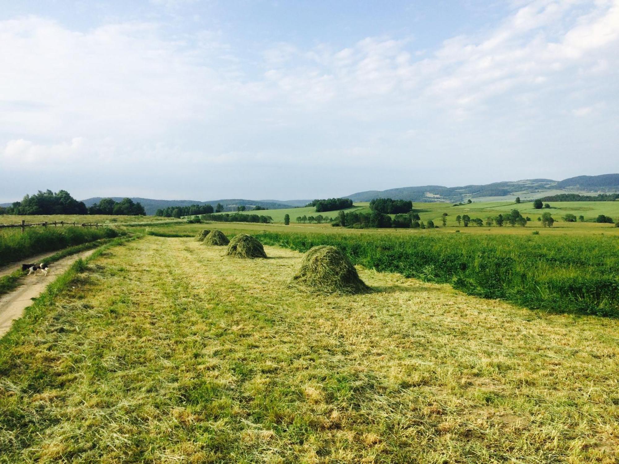 Siedlisko Wierchy Wiesciszowice Eksteriør bilde